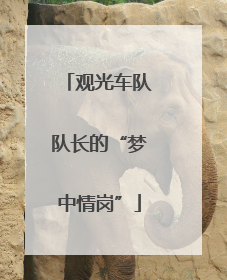 观光车队队长的“梦中情岗”