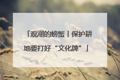 观潮的螃蟹丨保护耕地要打好“文化牌”