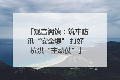 观音阁镇：筑牢防汛“安全堤” 打好抗洪“主动仗”