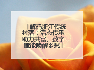 解码浙江传统村落：活态传承助力共富、数字赋能唤醒乡愁