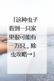 这种虫子看到一只家里很可能有一万只，除虫攻略→