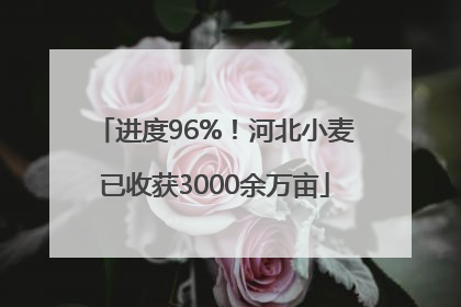 进度96%！河北小麦已收获3000余万亩