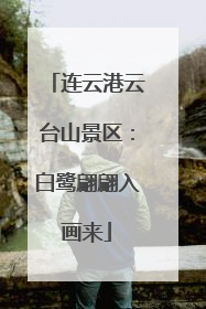 连云港云台山景区：白鹭翩翩入画来