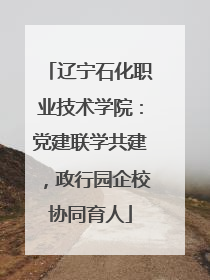 辽宁石化职业技术学院：党建联学共建，政行园企校协同育人