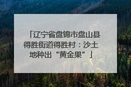 辽宁省盘锦市盘山县得胜街道得胜村：沙土地种出“黄金果”