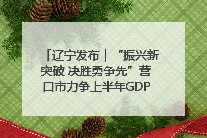 辽宁发布｜“振兴新突破 决胜勇争先”营口市力争上半年GDP增长6%左右