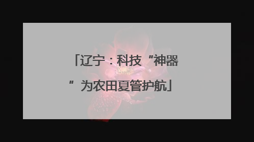 辽宁：科技“神器”为农田夏管护航