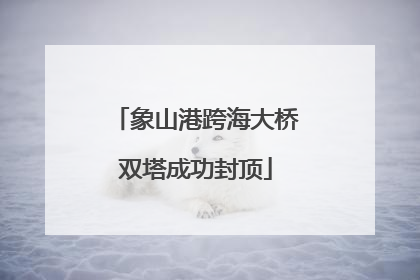 象山港跨海大桥双塔成功封顶