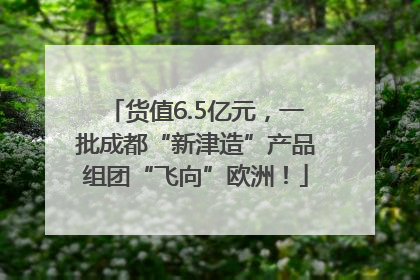 货值6.5亿元，一批成都“新津造”产品组团“飞向”欧洲！