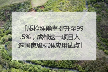 质检准确率提升至99.5%，成都这一项目入选国家级标准应用试点