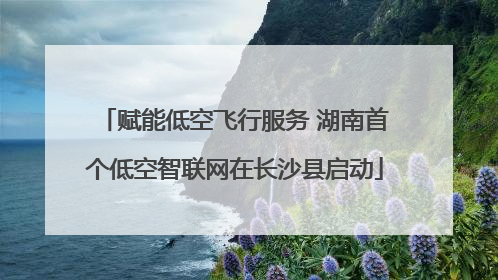 赋能低空飞行服务 湖南首个低空智联网在长沙县启动