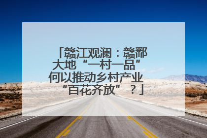 赣江观澜：赣鄱大地“一村一品”何以推动乡村产业“百花齐放”？