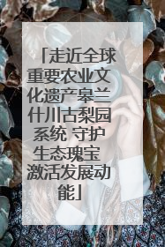 走近全球重要农业文化遗产皋兰什川古梨园系统 守护生态瑰宝 激活发展动能