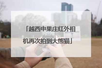 越西申果庄红外相机再次拍到大熊猫