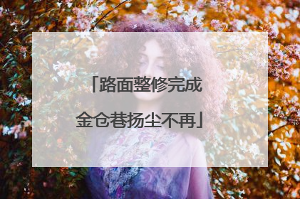 路面整修完成 金仓巷扬尘不再