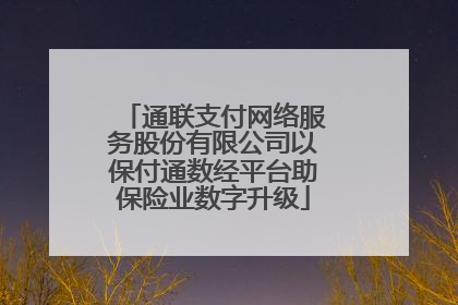 通联支付网络服务股份有限公司以保付通数经平台助保险业数字升级