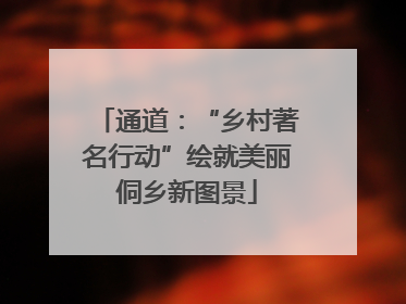通道：“乡村著名行动”绘就美丽侗乡新图景