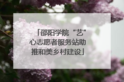 邵阳学院“艺”心志愿者服务站助推和美乡村建设