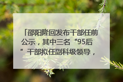 邵阳隆回发布干部任前公示，其中三名“95后”干部拟任副科级领导，均系硕士选调生