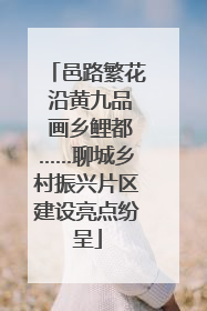 邑路繁花 沿黄九品 画乡鲤都……聊城乡村振兴片区建设亮点纷呈
