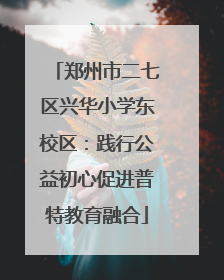 郑州市二七区兴华小学东校区：践行公益初心促进普特教育融合