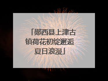 郧西县上津古镇荷花初绽邂逅夏日浪漫