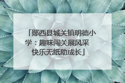 郧西县城关镇明德小学：趣味闯关展风采 快乐无纸助成长
