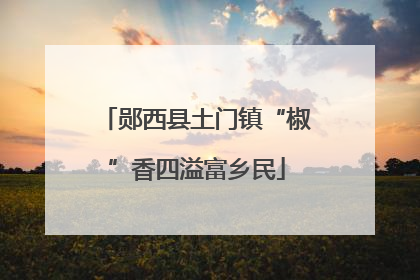 郧西县土门镇“椒”香四溢富乡民