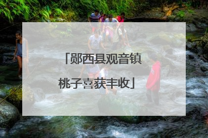 郧西县观音镇桃子喜获丰收