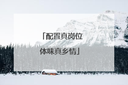 配置真岗位 体味真乡情