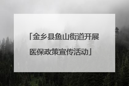 金乡县鱼山街道开展医保政策宣传活动
