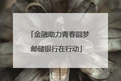 金融助力青春圆梦邮储银行在行动