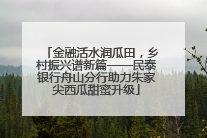 金融活水润瓜田，乡村振兴谱新篇——民泰银行舟山分行助力朱家尖西瓜甜蜜升级