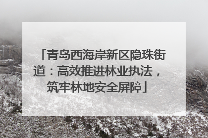 青岛西海岸新区隐珠街道：高效推进林业执法，筑牢林地安全屏障