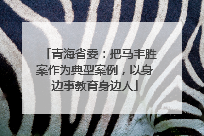 青海省委：把马丰胜案作为典型案例，以身边事教育身边人