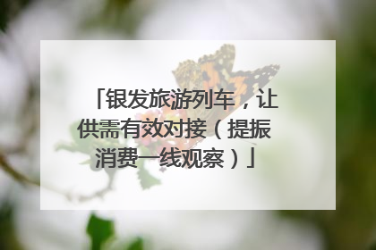 银发旅游列车，让供需有效对接（提振消费一线观察）