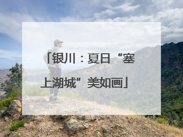 银川：夏日“塞上湖城”美如画
