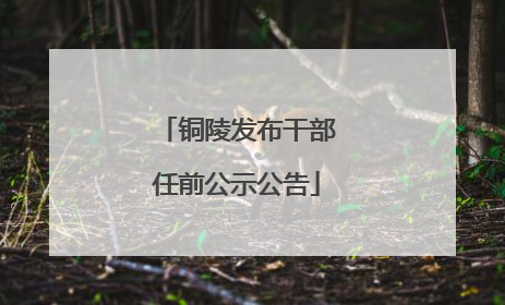 铜陵发布干部任前公示公告