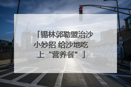 锡林郭勒盟治沙小妙招 给沙地吃上“营养餐”