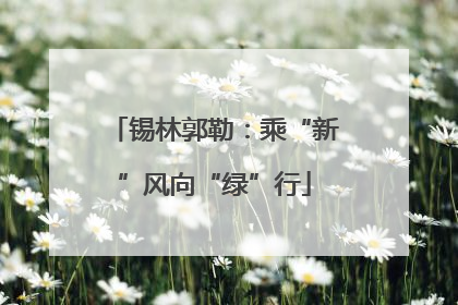锡林郭勒：乘“新”风向“绿”行