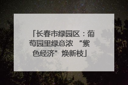 长春市绿园区：葡萄园里绿意浓 “紫色经济”焕新枝