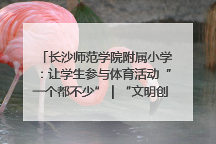 长沙师范学院附属小学：让学生参与体育活动“一个都不少”｜“文明创建耀三湘”专栏
