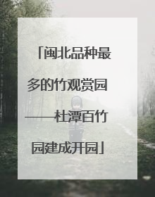 闽北品种最多的竹观赏园——杜潭百竹园建成开园