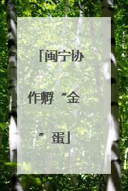 闽宁协作孵“金”蛋