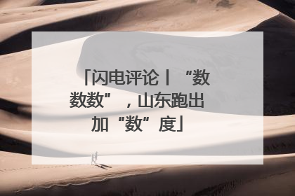 闪电评论丨“数数数”，山东跑出加“数”度