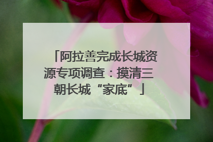 阿拉善完成长城资源专项调查：摸清三朝长城“家底”