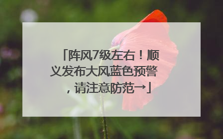 阵风7级左右！顺义发布大风蓝色预警，请注意防范→