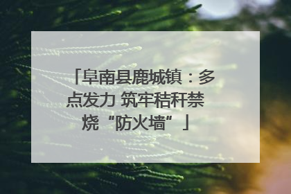 阜南县鹿城镇：多点发力 筑牢秸秆禁烧“防火墙”