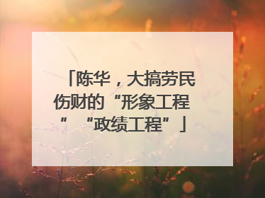 陈华，大搞劳民伤财的“形象工程”“政绩工程”