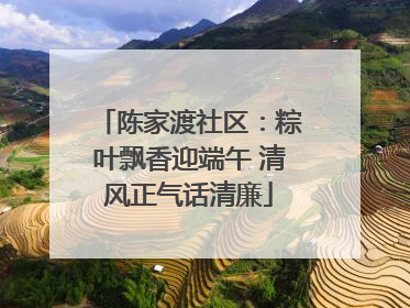 陈家渡社区：粽叶飘香迎端午 清风正气话清廉